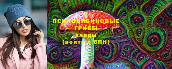 спиды Вяземский