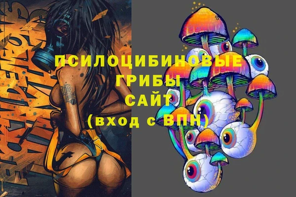 спиды Вяземский